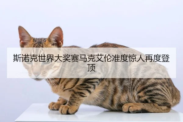 斯诺克世界大奖赛马克艾伦准度惊人再度登顶