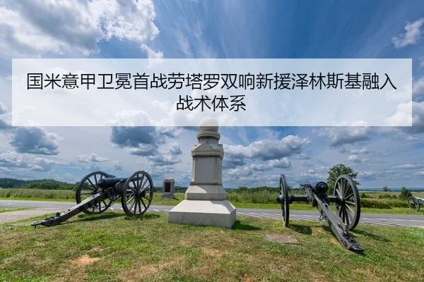 guo-mi-yi-jia-wei-mian-shou-zhan-lao-ta-luo-shuang-xiang-xin-yuan-ze-lin-si-ji-rong-ru-zhan-shu-ti-xi-2-785.jpg