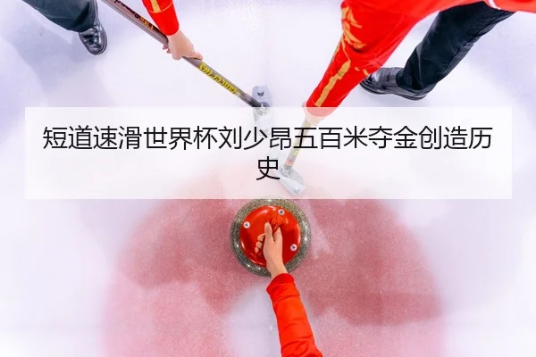 duan-dao-su-hua-shi-jie-bei-liu-shao-ang-wu-bai-mi-duo-jin-chuang-zao-li-shi-3-414.jpg