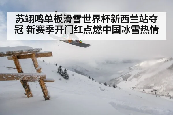 苏翊鸣单板滑雪世界杯新西兰站夺冠 新赛季开门红点燃中国冰雪热情