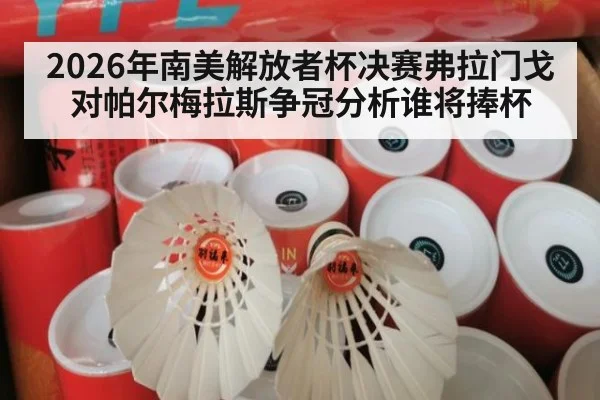 2026年南美解放者杯决赛弗拉门戈对帕尔梅拉斯争冠分析谁将捧杯